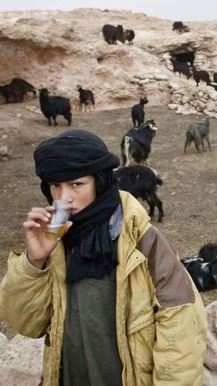 جَاكِيت image 4