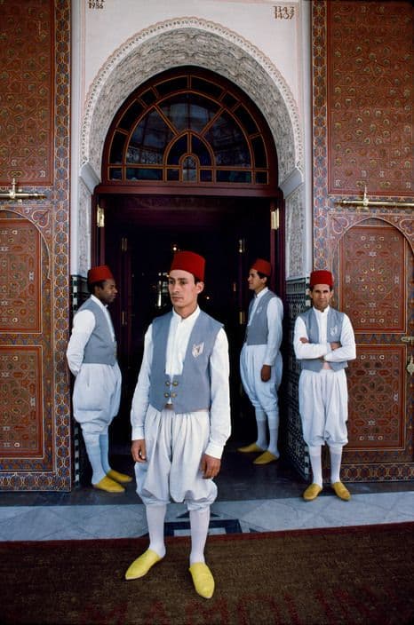 Rihla Shorts image 5